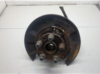 4230132060, 4230433020, 4650333020 Ступица (кулак, цапфа) Lexus RX 1998-2003 20536701 #5