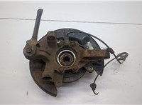 4230132060, 4230433020, 4650333020 Ступица (кулак, цапфа) Lexus RX 1998-2003 20536701 #6