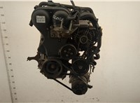  Насос гидроусилителя руля (ГУР) Ford Focus 2 2005-2008 11467495 #1
