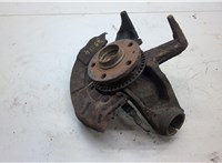 1J0407613G, 1J0615311A Ступица (кулак, цапфа) Volkswagen Golf 4 1997-2005 20537345 #1