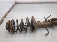  Амортизатор подвески Nissan Elgrand 1997-2002 20537359 #1