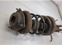  Амортизатор подвески Nissan Elgrand 1997-2002 20537359 #2