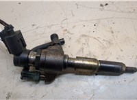 9674973080 Форсунка топливная Ford Focus 3 2011-2015 20537438 #1