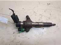 9674973080 Форсунка топливная Ford Focus 3 2011-2015 20537441 #1