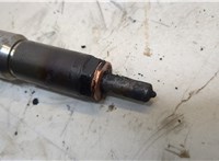 9674973080 Форсунка топливная Ford Focus 3 2011-2015 20537441 #2