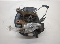 4245042040, 4230472010, 4650342040 Ступица (кулак, цапфа) Lexus HS 2009-2018 20537467 #4