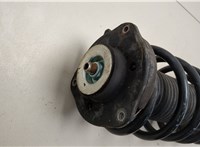  Амортизатор подвески Volkswagen Passat 6 2005-2010 20537564 #2
