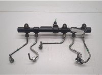  Рампа (рейка) топливная SsangYong Rexton 2006-2012 20537633 #2