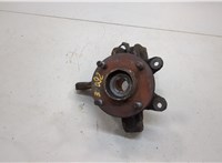  Ступица (кулак, цапфа) Ford Fiesta 2001-2007 20537756 #1