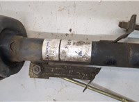  Амортизатор подвески Ford Fiesta 2001-2007 20537772 #2