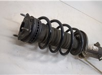  Амортизатор подвески Ford Fiesta 2001-2007 20537772 #3