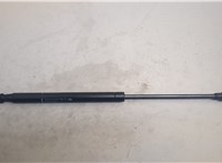  Амортизатор крышки багажника BMW 4 F32 2013-2021 20537938 #1