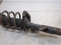  Амортизатор подвески Ford Focus 2 2008-2011 20538111 #3