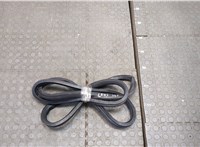  Уплотнитель Audi A6 (C5) Allroad 2000-2006 20538164 #1