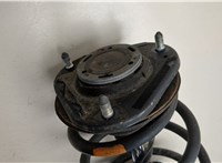  Амортизатор подвески Lexus HS 2009-2018 20538165 #2
