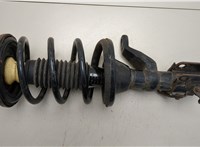  Амортизатор подвески Honda Element 2002-2011 20538194 #1