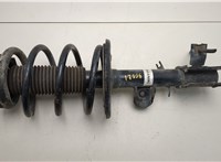  Амортизатор подвески Infiniti JX 2012-2014 20538648 #1