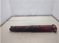  Амортизатор подвески DAF XF 106 2013-2021 20538743 #6