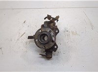 6Q0407256S, 6Q0407621BR Ступица (кулак, цапфа) Skoda Fabia 1999-2007 20538747 #1