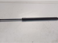 7T4Z78406A10A Амортизатор крышки багажника Ford Edge 2006-2015 20538761 #2