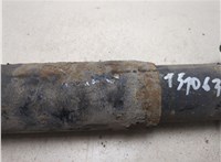  Амортизатор подвески Man TGM 2005-2021 20538821 #10
