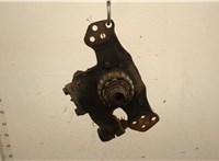  Кулак поворотный Iveco EuroCargo 3 2015-2025 20538956 #1
