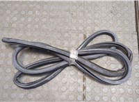  Уплотнитель Volkswagen Touareg 2002-2007 20539172 #1