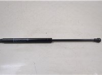  Амортизатор крышки багажника BMW 4 F32 2013-2021 20539224 #1