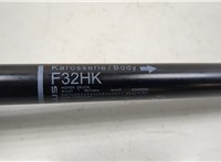  Амортизатор крышки багажника BMW 4 F32 2013-2021 20539224 #2