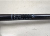  Амортизатор крышки багажника BMW 4 F32 2013-2021 20539224 #3
