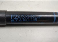 7239233 Амортизатор капота BMW 4 F32 2013-2021 20539243 #2