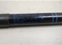 7239233 Амортизатор капота BMW 4 F32 2013-2021 20539243 #3