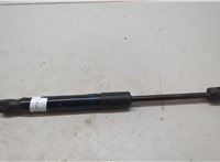 7239233 Амортизатор капота BMW 4 F32 2013-2021 20539243 #6