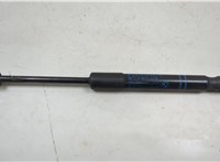 7239233 Амортизатор капота BMW 4 F32 2013-2021 20539248 #1