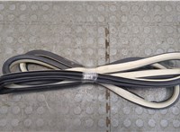  Уплотнитель Nissan Murano 2008-2015 20539258 #1