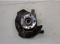 517503J000, 517152B050, 517553J700 Ступица (кулак, цапфа) Hyundai Santa Fe 2005-2012 20539295 #1
