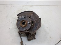  Ступица (кулак, цапфа) Toyota RAV 4 2000-2005 20539324 #1