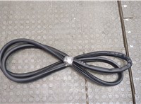  Уплотнитель Buick Envista 2022-2025 20539391 #1