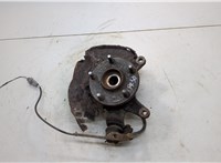  Ступица (кулак, цапфа) Toyota RAV 4 2000-2005 20539411 #1