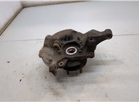  Ступица (кулак, цапфа) Hyundai Santa Fe 2005-2012 20539443 #2
