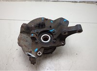 517503J000, 517162B050, 517563J700 Ступица (кулак, цапфа) Hyundai Santa Fe 2005-2012 20539443 #4