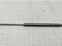  Амортизатор крышки багажника Chevrolet Trailblazer 2001-2010 20539463 #1