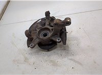  Ступица (кулак, цапфа) Toyota RAV 4 2000-2005 20539519 #2