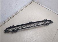 51117210466 Заглушка (решетка) бампера BMW X3 F25 2010-2017 20539731 #1