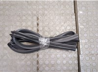  Уплотнитель Nissan Kicks 2020-2024 20539863 #1