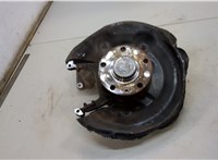 1T0598611B, 3C0505434K Ступица (кулак, цапфа) Volkswagen Passat 6 2005-2010 20540022 #2