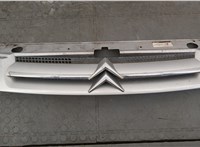 7804N2 Решетка радиатора Citroen Berlingo 2002-2008 20540398 #1