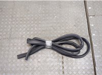  Уплотнитель Ford Explorer 2010-2015 20540399 #1