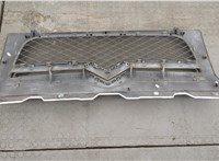 1308069070 Решетка радиатора Citroen Jumper (Relay) 2006-2014 20540419 #2
