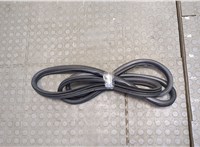 7234932 Уплотнитель BMW X6 E71 2007-2014 20540441 #1